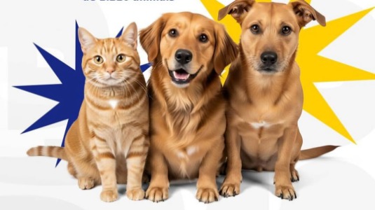 Vista Serrana supera meta em campanha de vacinao contra raiva animal